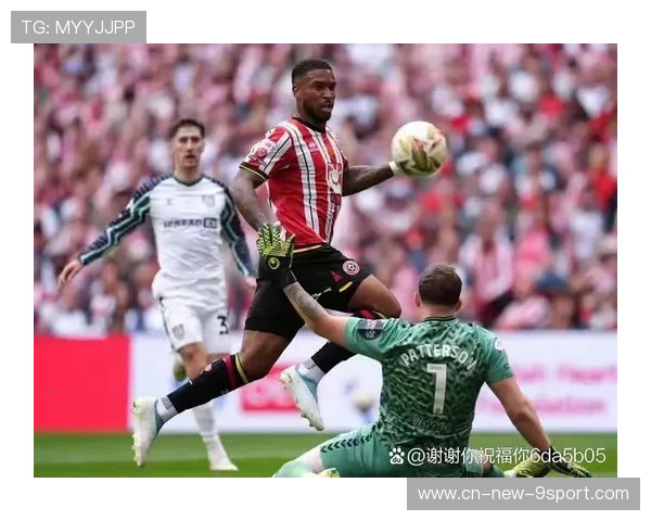 英超：桑德兰 1-1 埃弗顿 争议判罚引热议，桑德兰主场