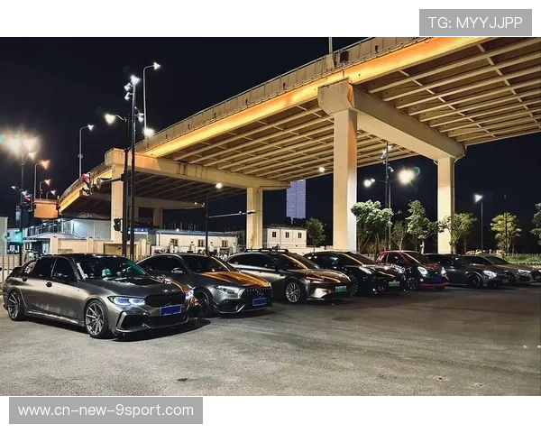 热门车手：粉丝心中的最爱，热门车型有哪些